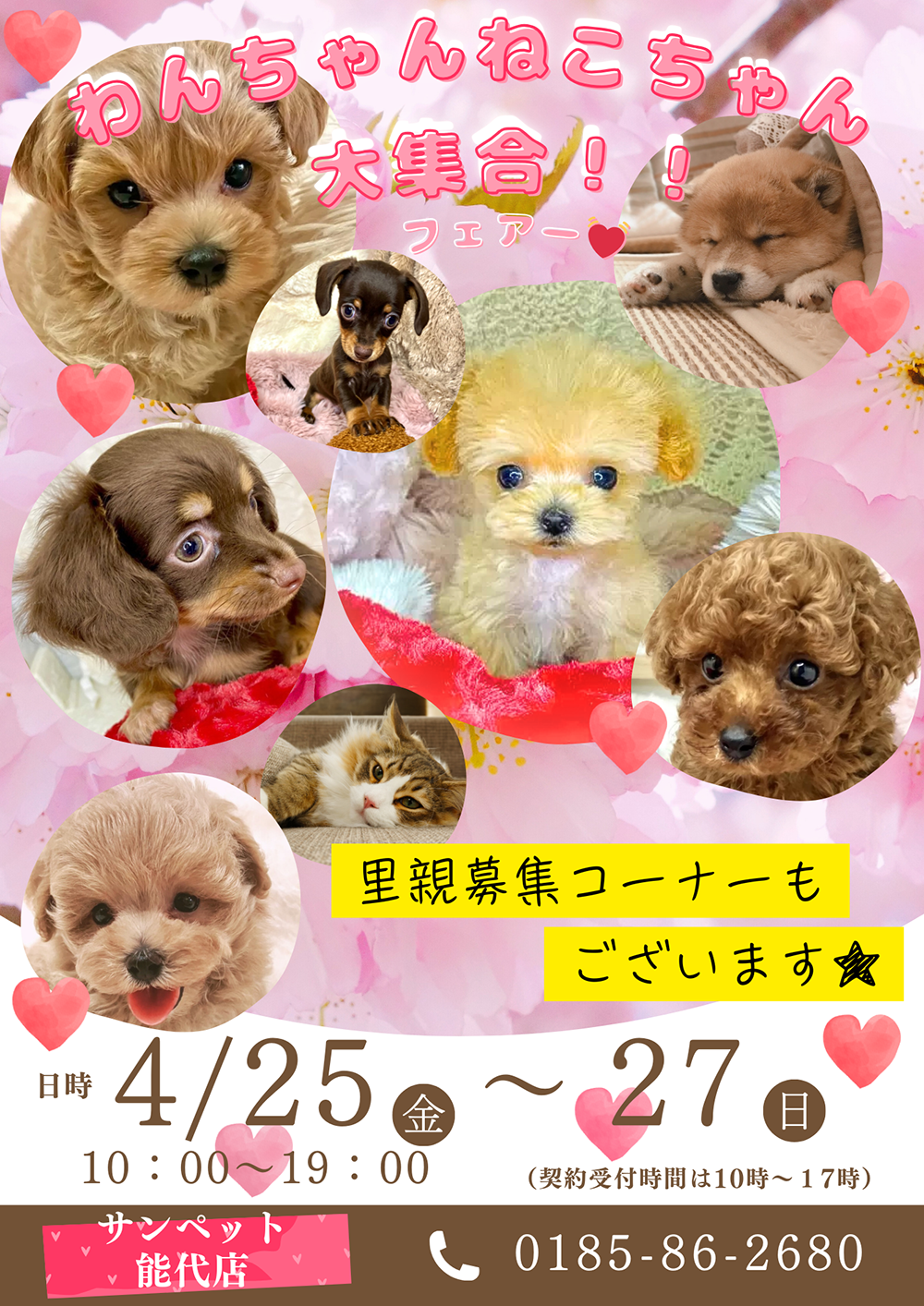 わんちゃんねこちゃん大集合！！フェアー開催